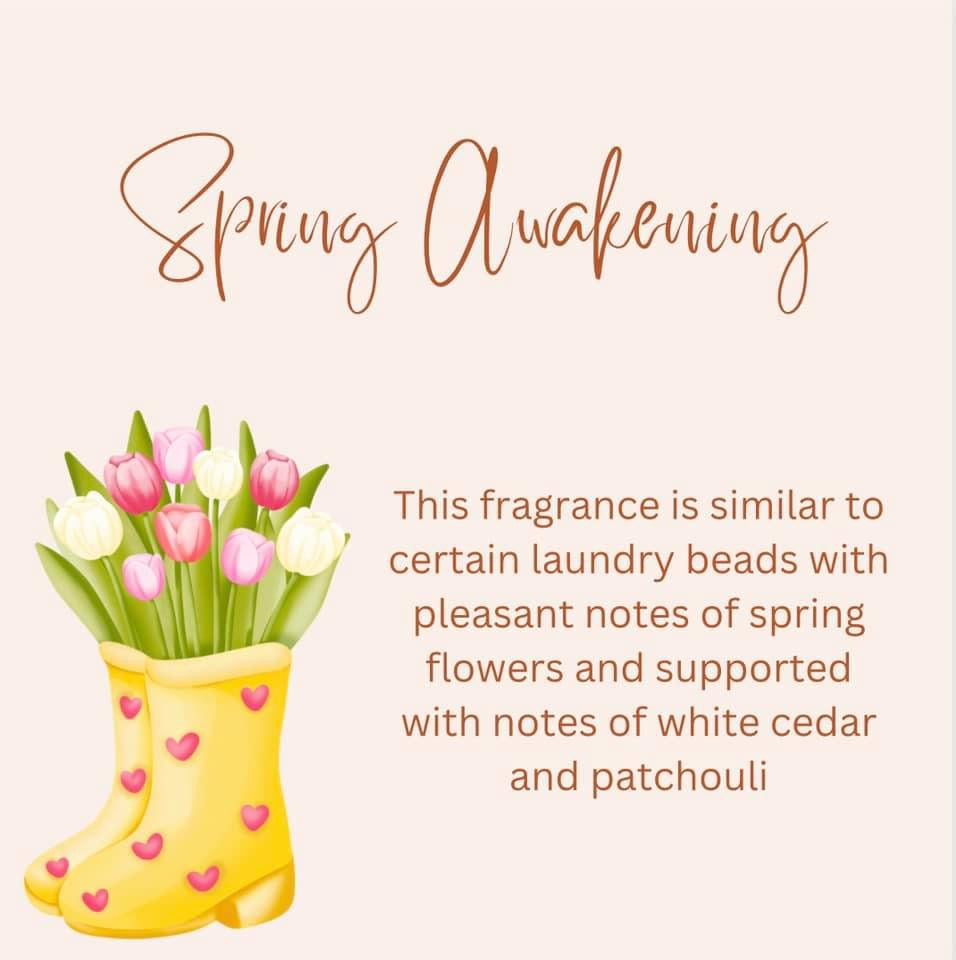 Clean & Fresh Inspired Wax Melts