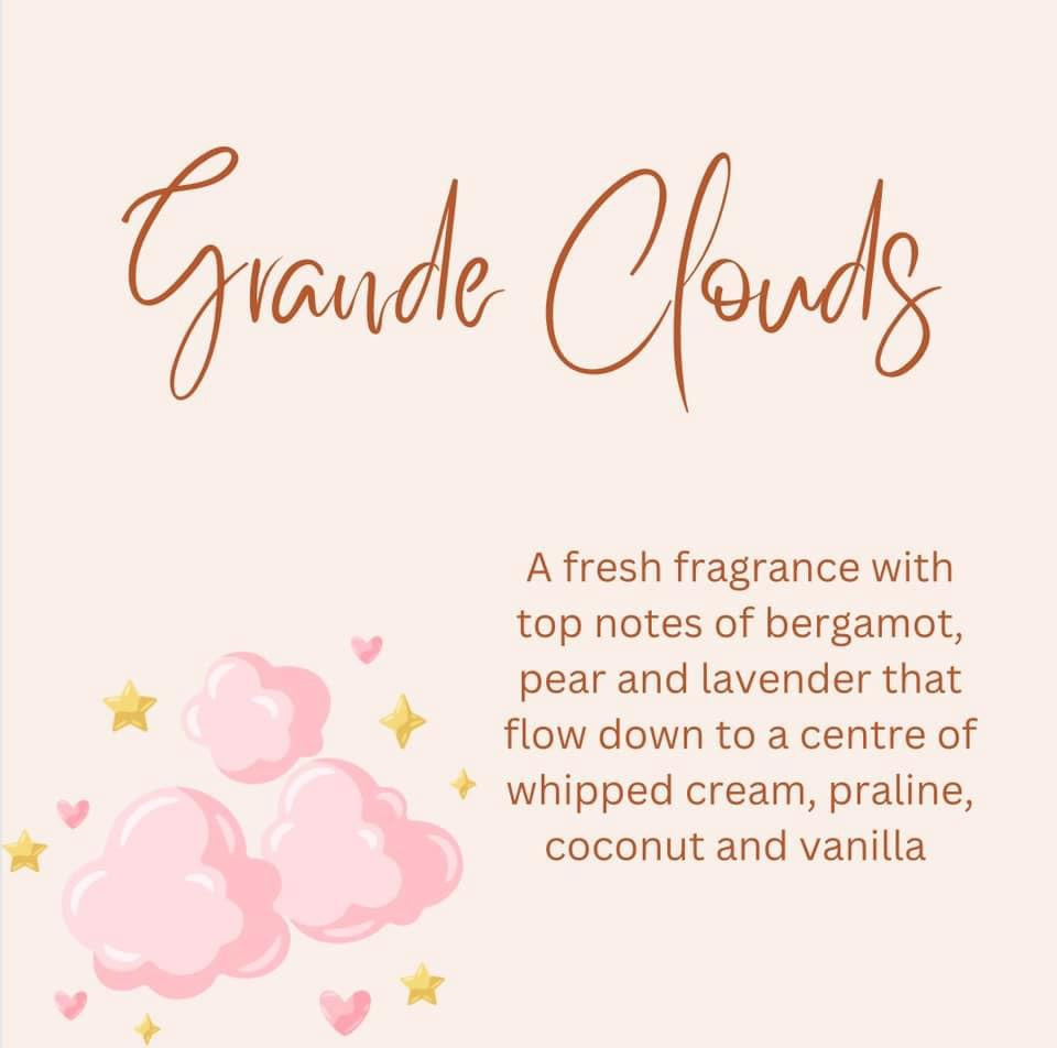 Perfume Inspired Wax Melts
