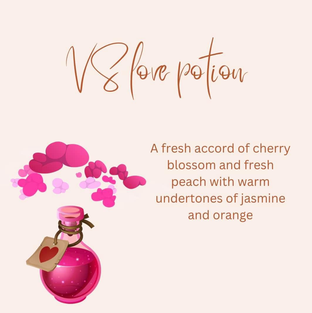 Perfume Inspired Wax Melts